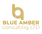 Blue Amber Consulting Limited logo